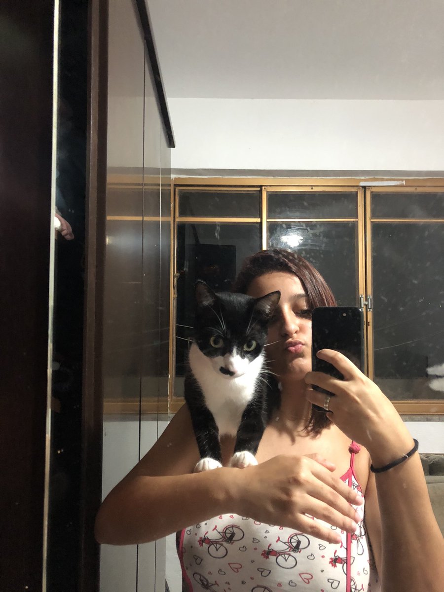 cecilios_'s tweet photo. Gente, meu gatinho aparentemente fugiu... quem me conhece sabe o quanto ele é importante pra mim e amado. Por favor, quem puder ajudar dando um rt pra tentar achá-lo, o nome dele é Freud. Moro em itaperuna, na cidade nova (prédio da oficina da massa) https://t.co/XFeWXvXEQc