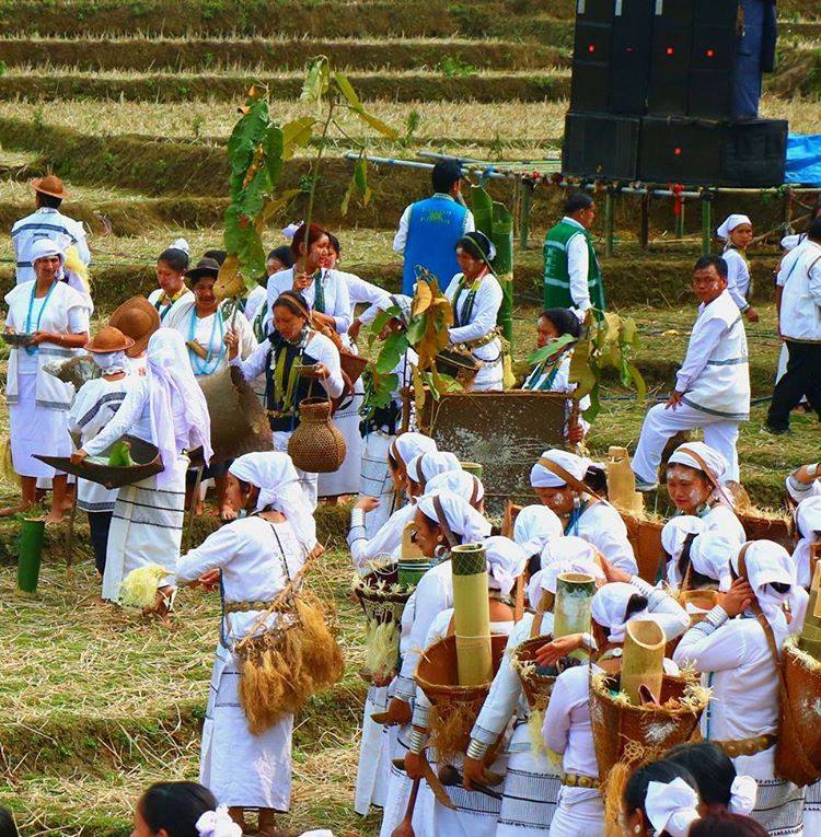  #Mopin is a five day long festival, which is celebrated with much vigor and gaiety by the  #Galo tribe of  #ArunachalPradesh. It is a harvest festival and is thought to bring wealth and prosperity to the Galo community as a whole. 1/6