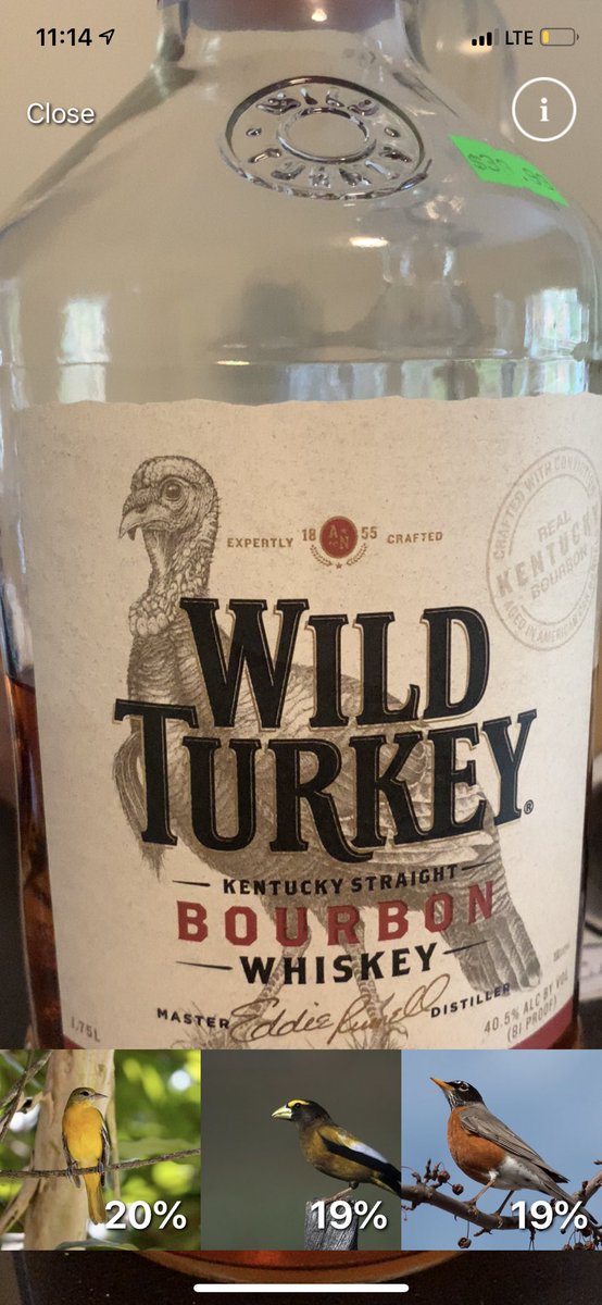 I had to check.... and my husband is more Wild Turkey than actual Wild Turkey  which is, in fact, 20% some kind of Wood Warbler.   @lesliehines51