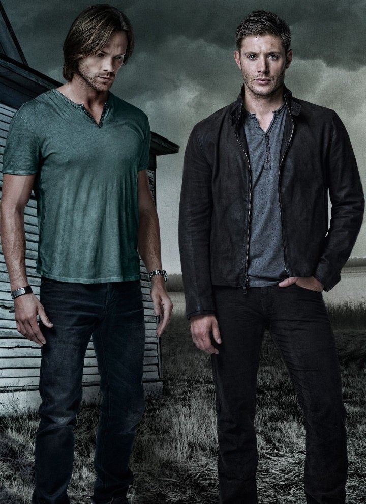 Series thread RT!1 - Pick your favorite TV brothers #PrisonBreak  #GOT  #Supernatural  #VampireDiaries