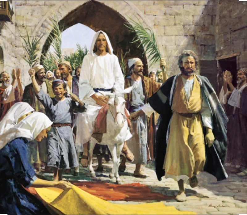 Kim Clark tweet media