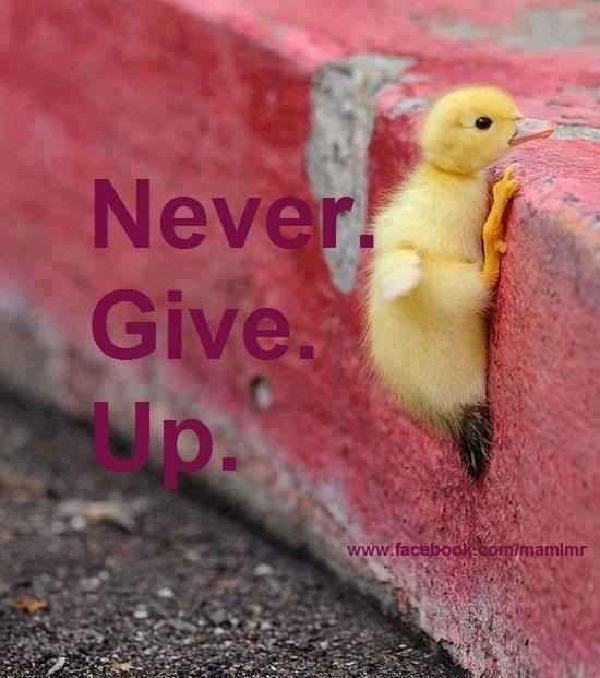 AlanJFisher0's tweet photo. #chroniclesofenoch #alanjfisher #motivation #success #WritingCommunity #inspiration #writerscommunity #awesome #writers #success #quotestoliveby #writeforsuccess #successquotes #quotestagram #instaquote https://t.co/9p8vtmj2Ro