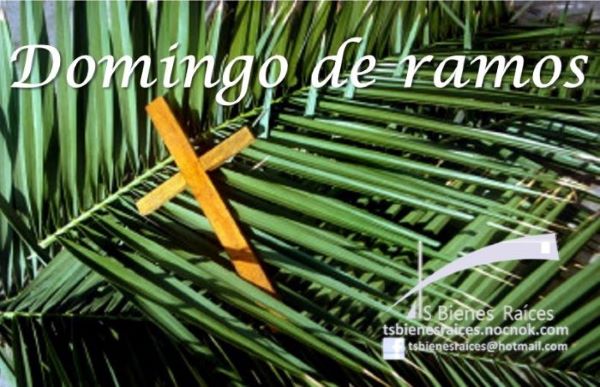 BienesTs's tweet photo. Domingo de Ramos
#QuedateEnCasa https://t.co/7CPIr5qpEd