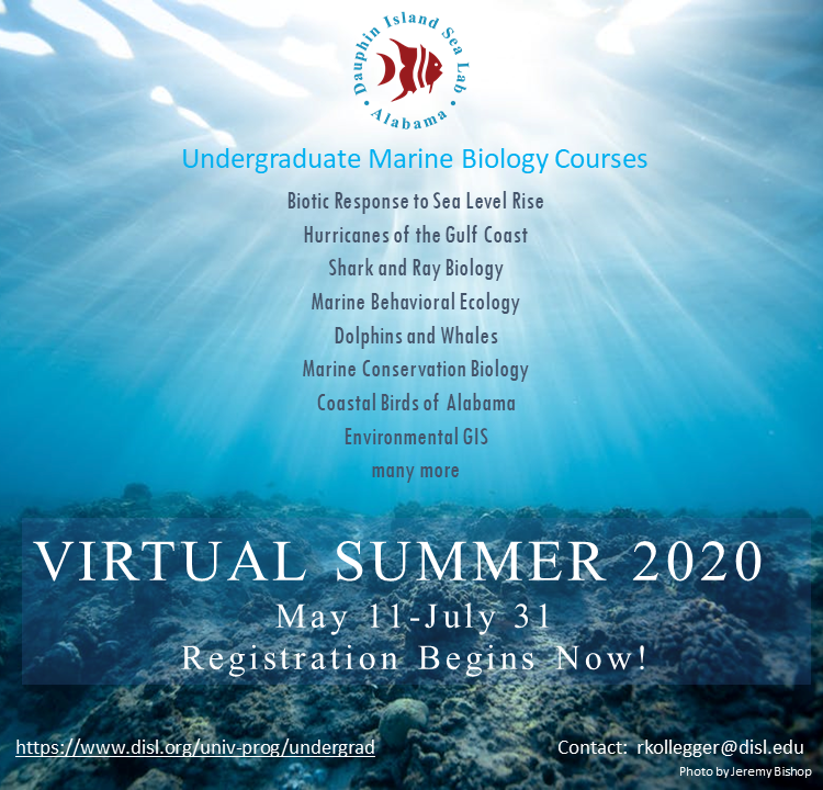 disealab's tweet photo. University Programs Summer Courses are going virtual this summer. Registration is open!
Save your spot today at https://t.co/glRjuO0kFu.
#virtualsummercourses #discoverdisl #updisl #dislexperience https://t.co/RR0xuORKfC