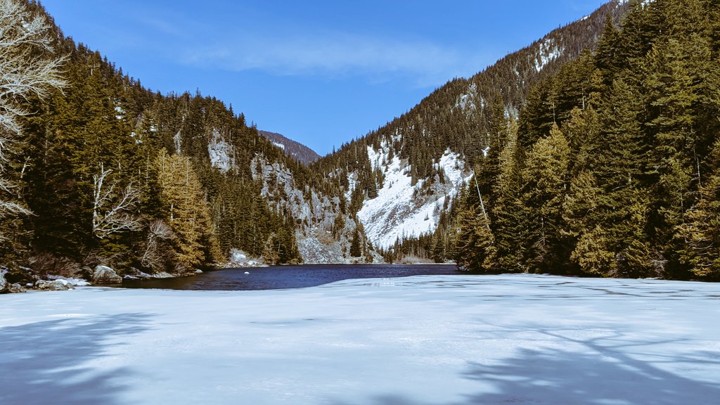 iamvats09's tweet photo. #lindeman #lake #time #mountains #travel #hiking #nature https://t.co/RlkayWqfFC