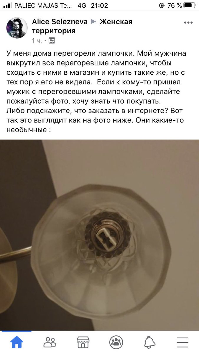 Bohemia tweet media