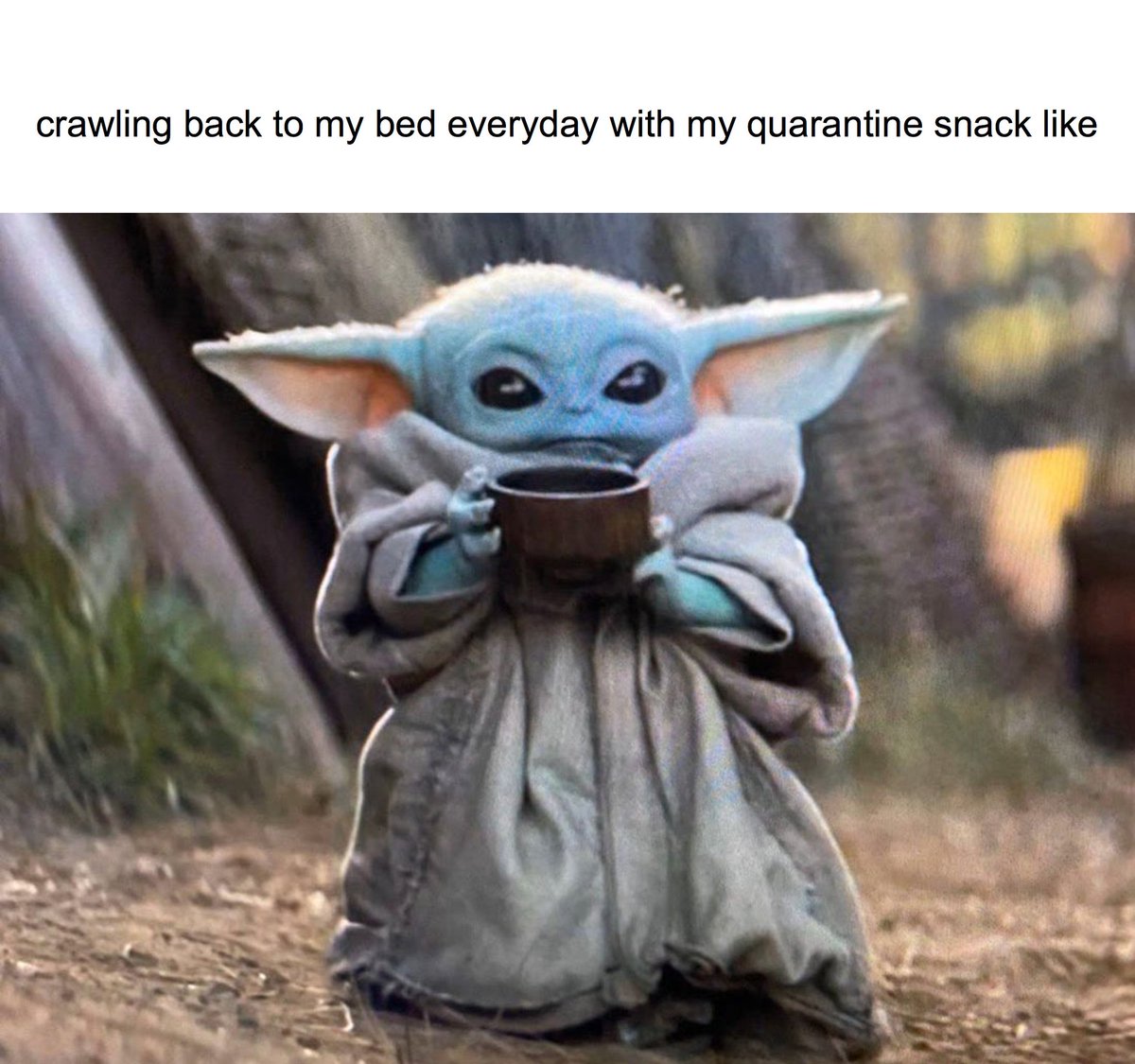 faithforclass's tweet photo. I lied, one more repost for my quarantine twin. #MCO435 #quarantineyoda #QuaratineLife https://t.co/V11jTNKfSR