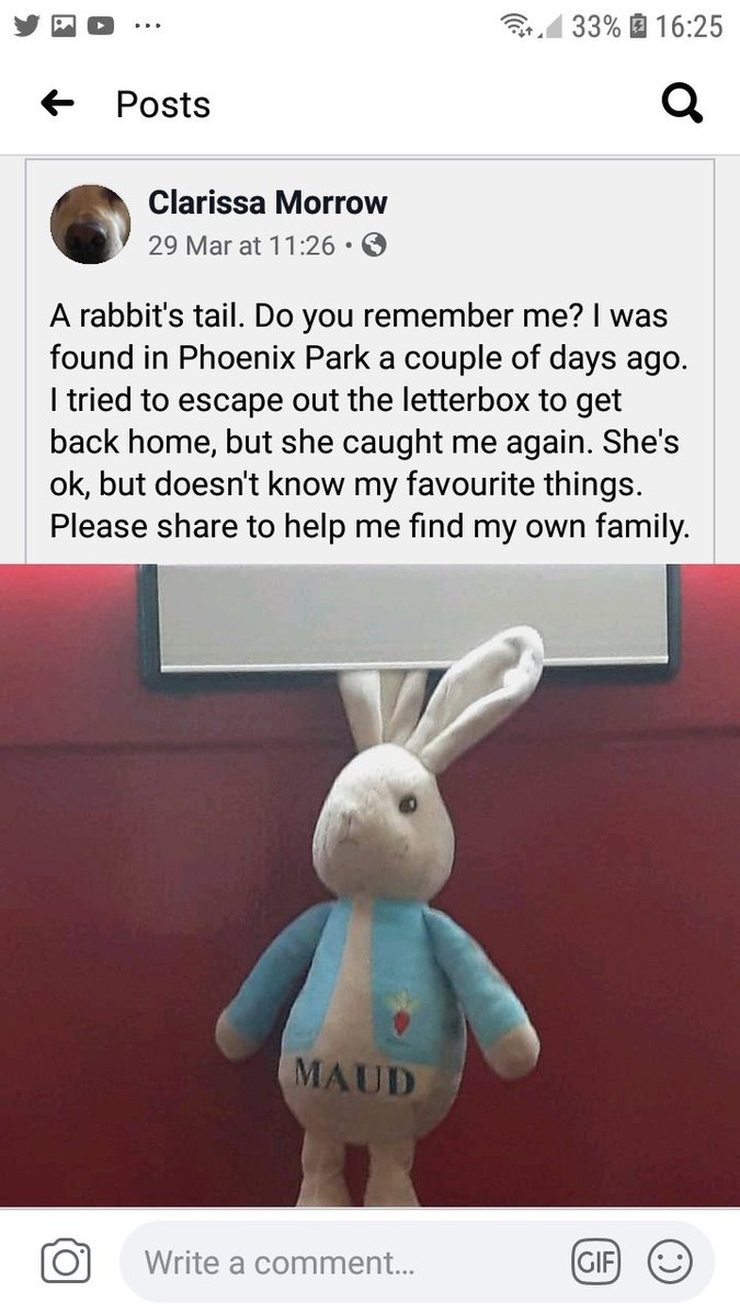 crochet_crafter's tweet photo. Do you know #maud help get #bunny home for #easter. #rabbit was left in @phoenixparkopw #phoenixPark #lostAndFound @conor_pope @rteliveline @StoneybatterPoP #rt #COVID19 #getMaudHome #AliceInWonderland #makeSomebodysDay #PalmSunday #EnjoyEveryMinute https://t.co/Btm3NGEyVL
