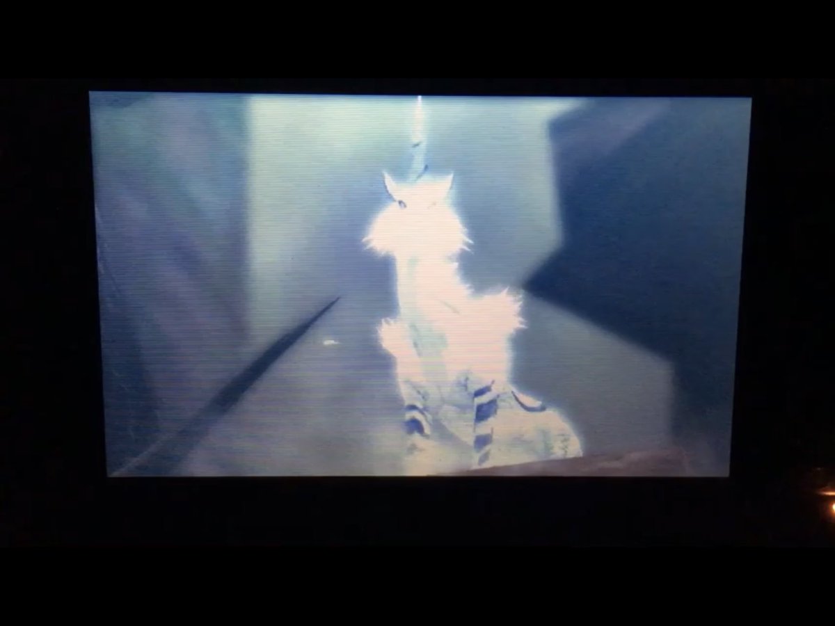 Kirin is actually my favorite Elder Dragon (again, thanks, Stories)He was the only Low Rank Elder Dragon that actually gave me a run for my Zenny. His intro in 4U only sealed his magnificence and beauty for me. It was one heck a fight too, I’ll add!