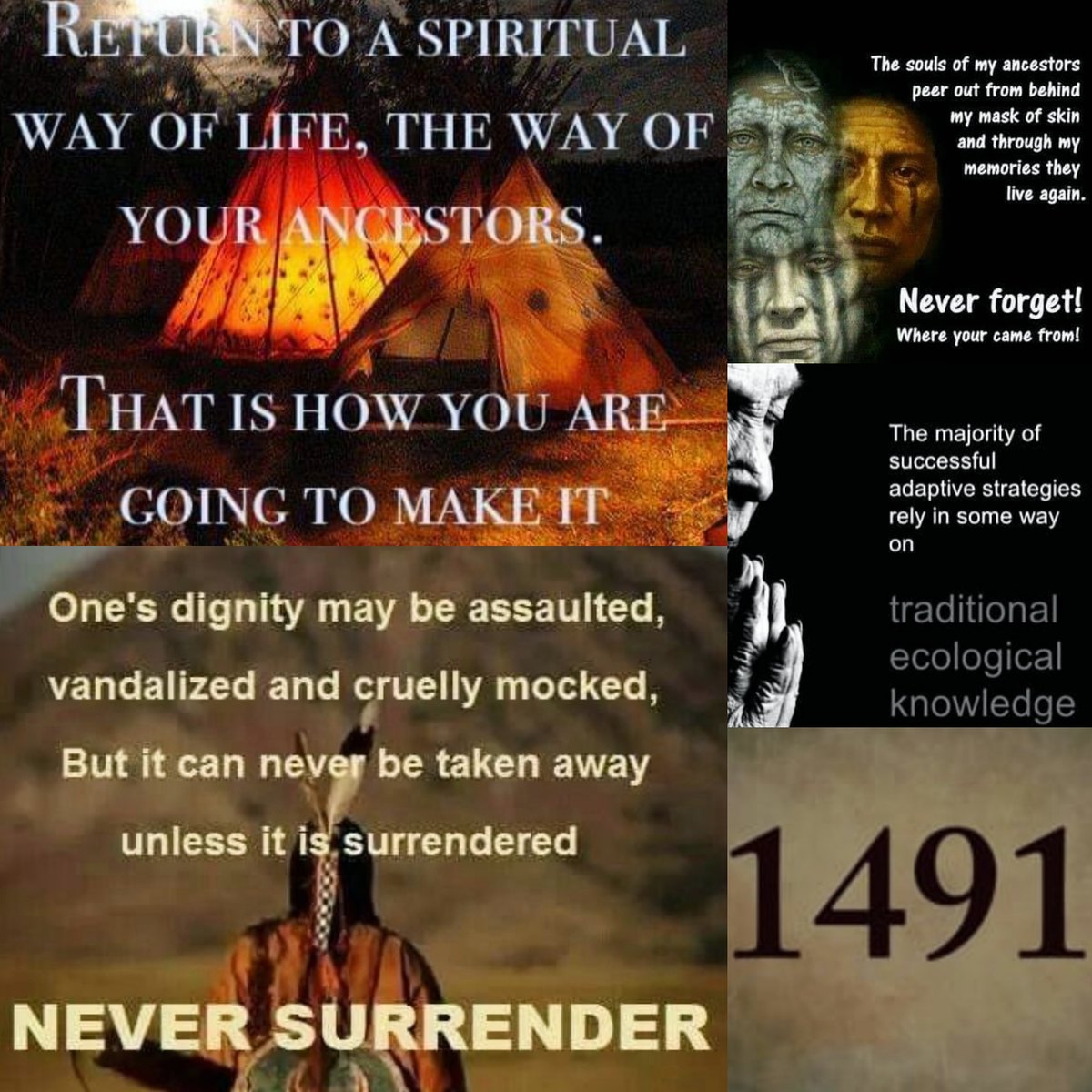 realgeraldauger's tweet photo. We are the answered prayers of our ancestors. We are the ones they have been waiting for. We knew Creator since the beginning of TIME. #Creator #1491 #culture #language #spirituality #ourmotherearth #ourwomen #ourchildren #healing #decolonize #indigenousthought #originaltruth https://t.co/dHWYIti7od