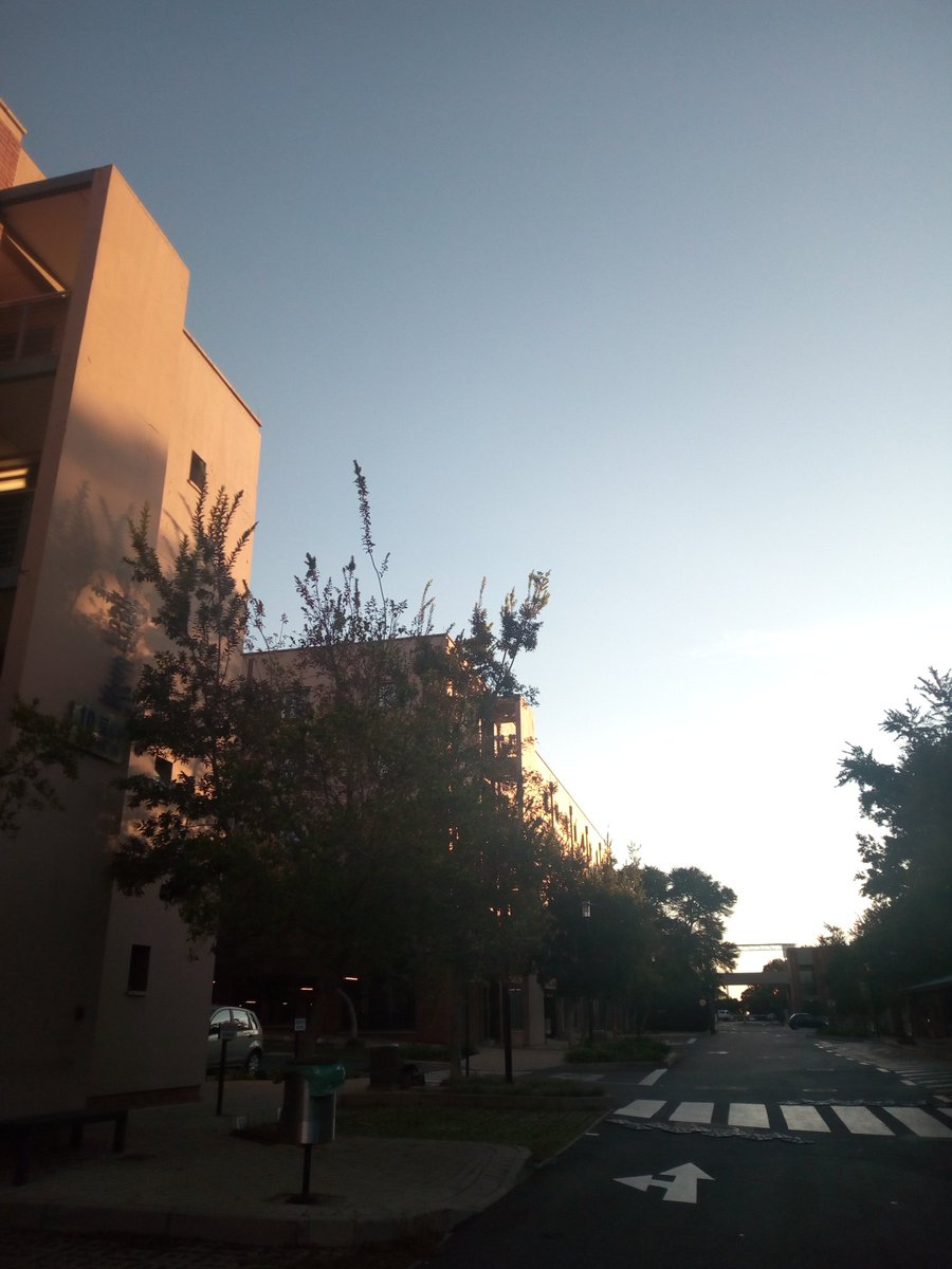 sdkafeero's tweet photo. Thanking God for the wonderful gift of brief sunshine after almost a week of biting cold and rain. #StayAtHomeSA #StayTheFFHome #StayathomeUG #Covid19SA #COVID19UG https://t.co/EYPxqBkKuR