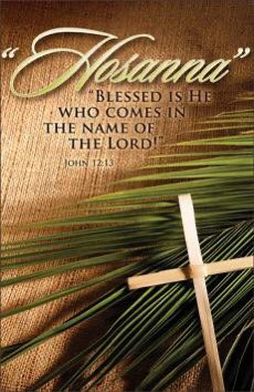 #PalmSunday blessings to all 🌿🌿