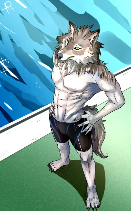 水泳を教えてくれるオオカミさん 