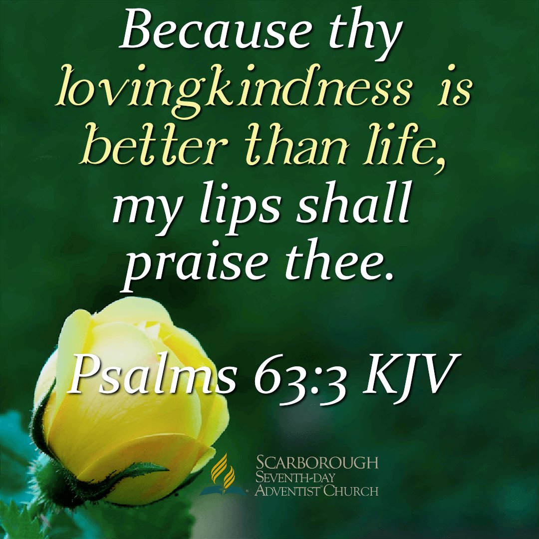 ScarboroughSDA's tweet photo. Your Love is better than life!!!
#wonderfulwordsoflife #Logos #HolyWords #Scripture https://t.co/XvweaeyRkA
