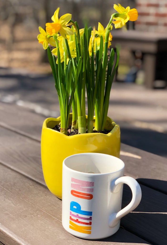 DLHSSD1's tweet image. Keep On Believing! #keeponwi