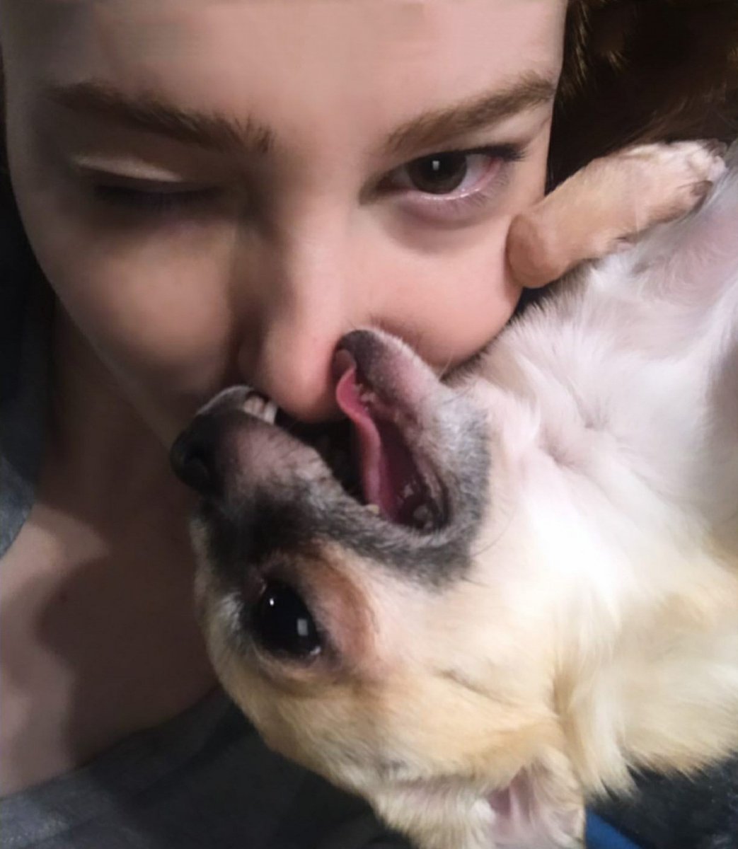 PicsElcin's tweet photo. so cute🥰❤️
@elcnsng #ElcinSangu https://t.co/UPel77hQzh