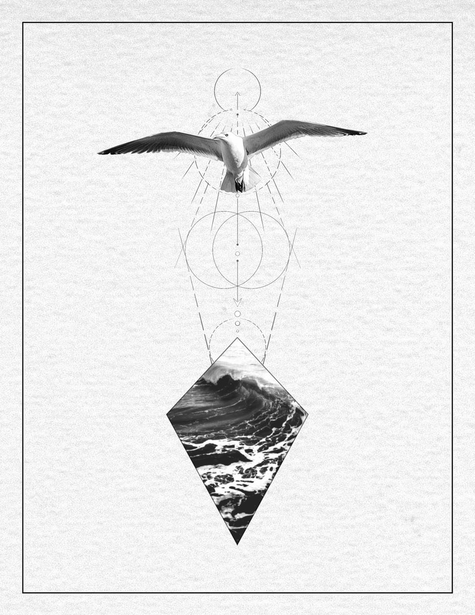 #seagull #beach #miami #linework #art #sun #sea