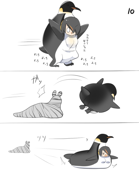 コウテイちゃん10日目 