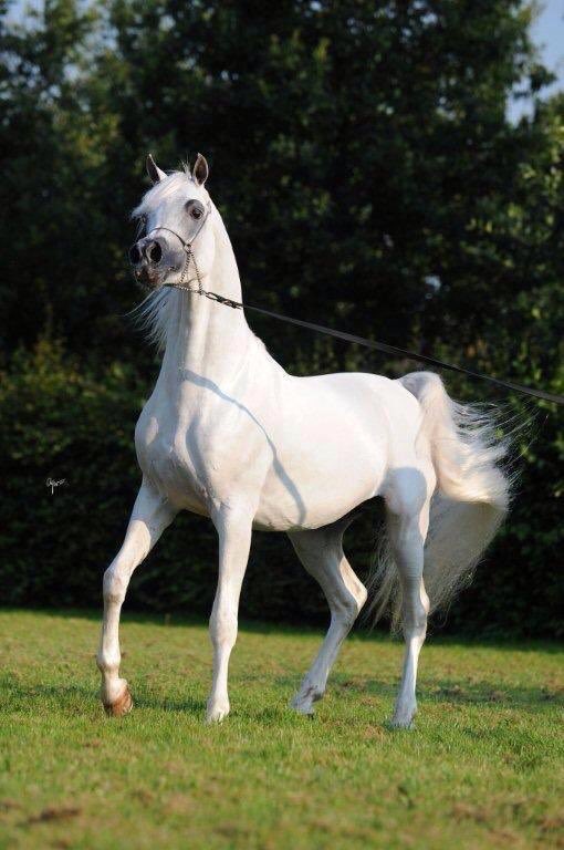 #كــيان🥀 tweet media