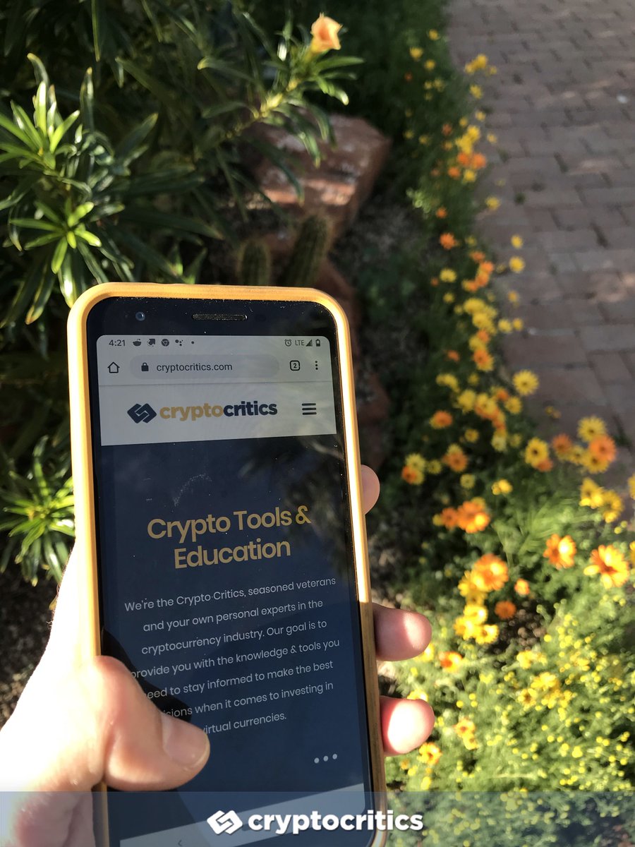 Crypto Critics tweet media