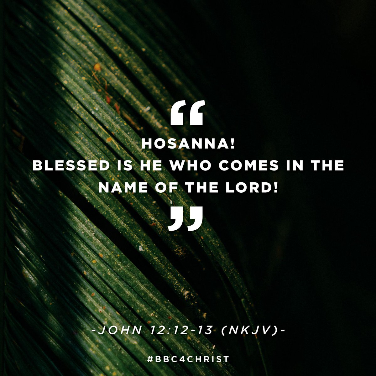 Bethlehem Baptist On Twitter The Next Day A Great Multitude That Had Come To The Feast When They Heard That Jesus Was Coming To Jerusalem Took Branches Of Palm Trees And Went twitter