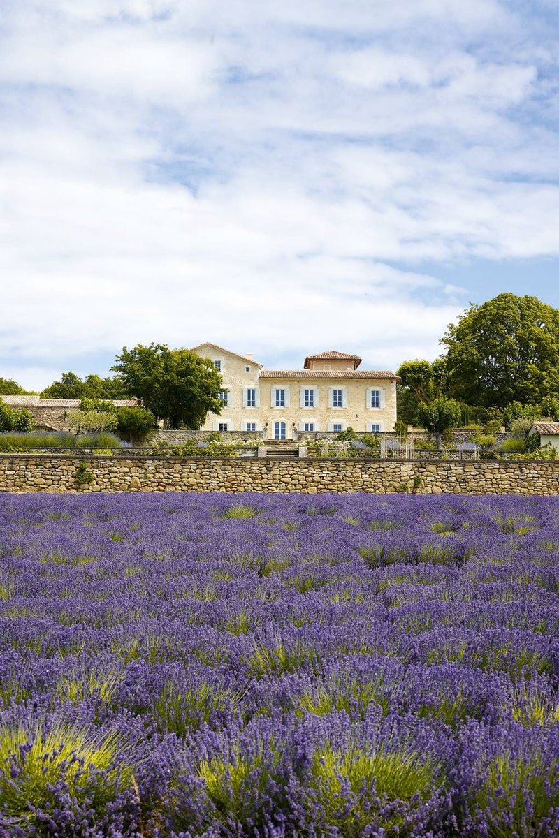 _houseandgarden's tweet photo. A French country house with its own lavender fields, wine cellar, and a pool with a serious view... https://t.co/M4oDnSHuSW https://t.co/daNrv7EHhK