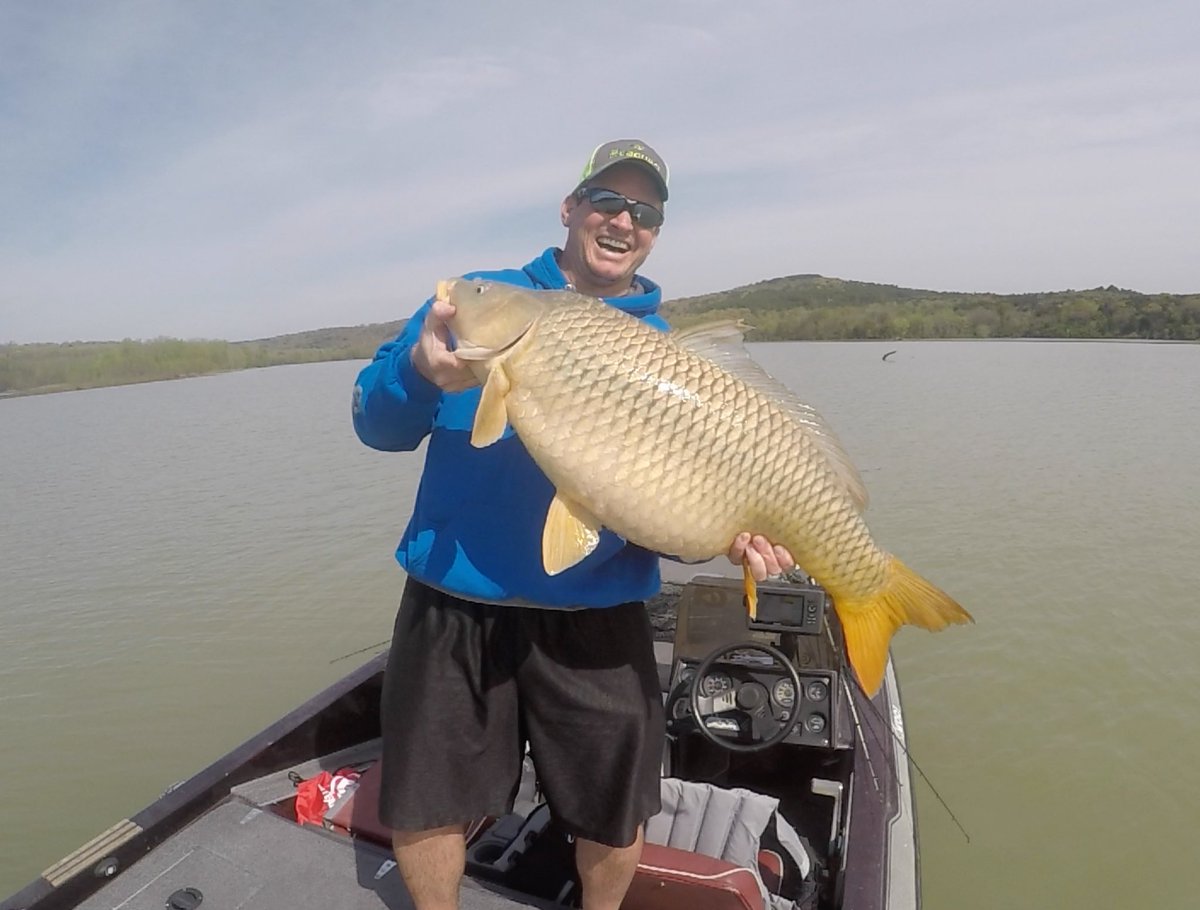 live2fish365's tweet photo. Caught an #Arkansas Monster 😂😂#wrongfish @ARGameandFish possible state record 🤷♂️🤷♂️🤦♂️🤦♂️ fun to accidentally catch on a @6thSenseLureCo C10, Frekin amazing crankbait, those hooks didn’t budge 💪💪 @myyolotek captured this moment! #alwaysberecording https://t.co/ymjl5LykES
