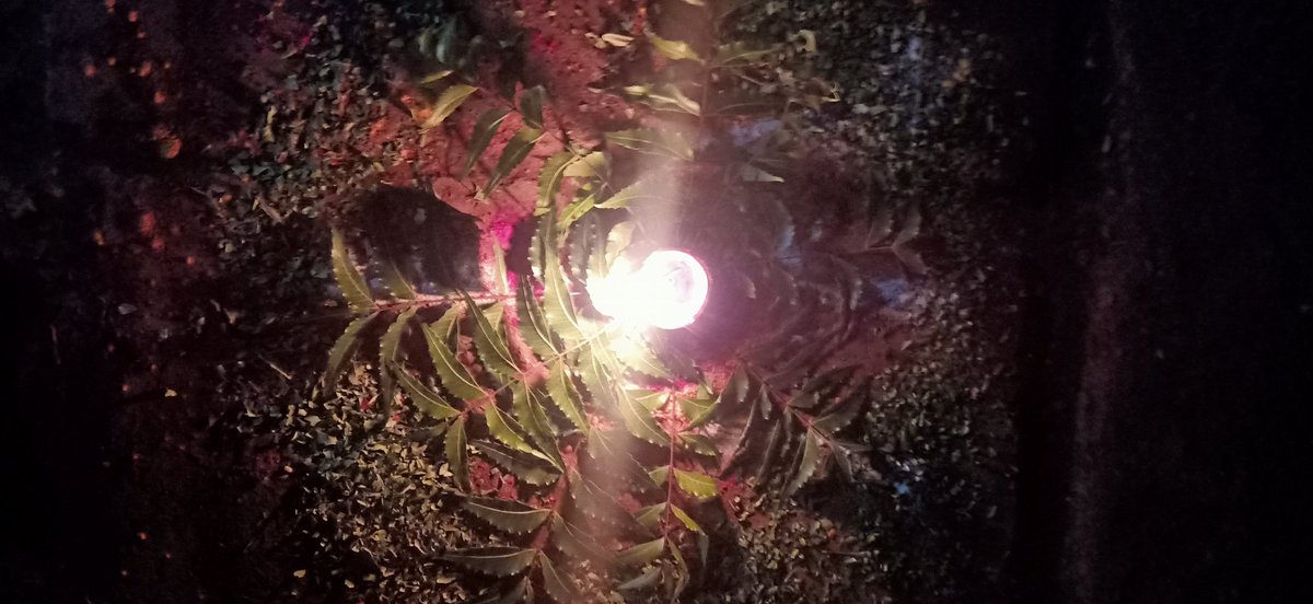 DfcSalem's tweet photo. My Duty..is #Complete
๐ค๐
#Solidarity #Unity
#AloneTogether #IndiaFightsCoronavirus #StayHomeStaySafe
#OnlyPrayers ๐๐ป๐๐ป๐๐ป
@dhanush_chow3 @DhanushTrends @Madurai_TNDFC @KanchiDistDFC @DhanushismKK https://t.co/eaI4HyFrE2