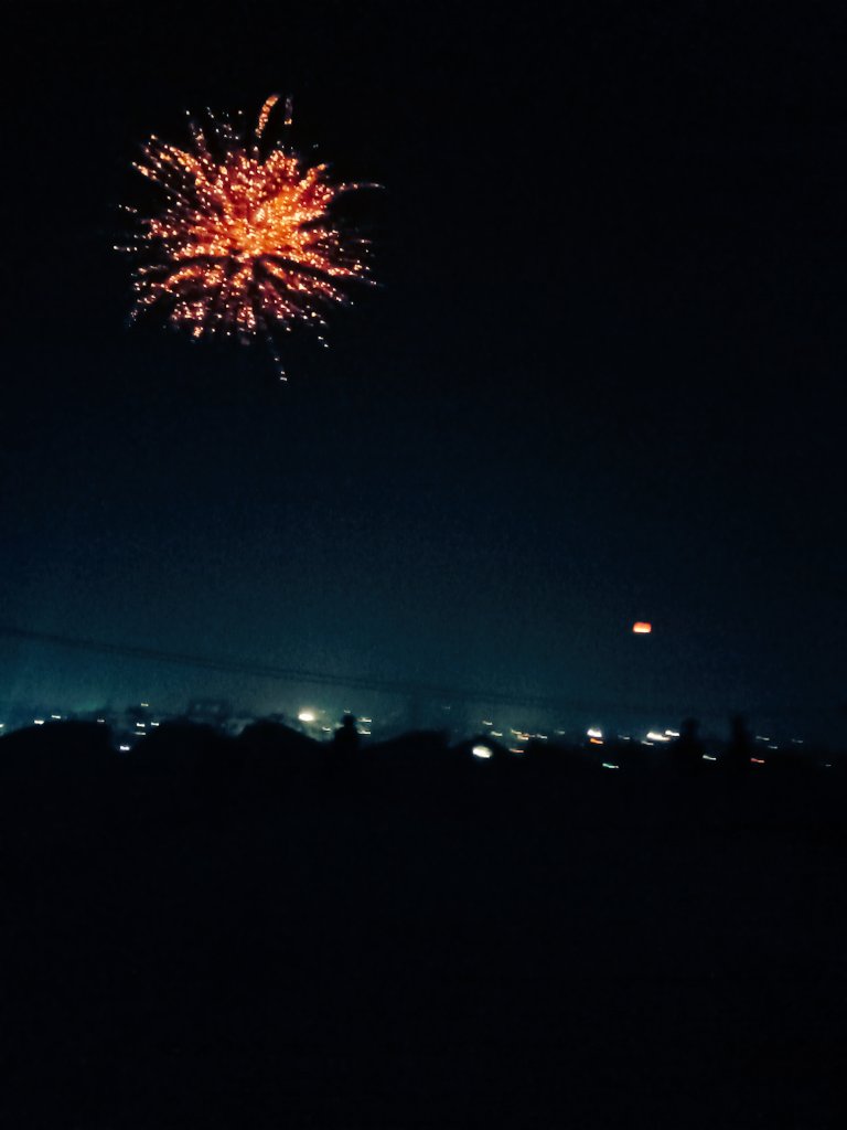 Nidhi Lohia tweet media