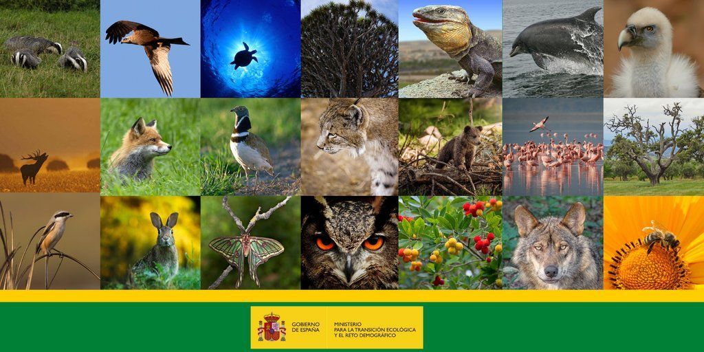 Biodiversidad de España