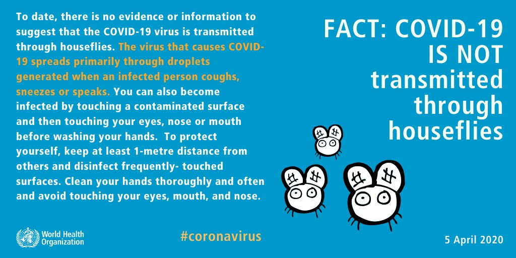 FACT:  #COVID19 IS NOT transmitted through houseflies #coronavirus  #KnowTheFacts