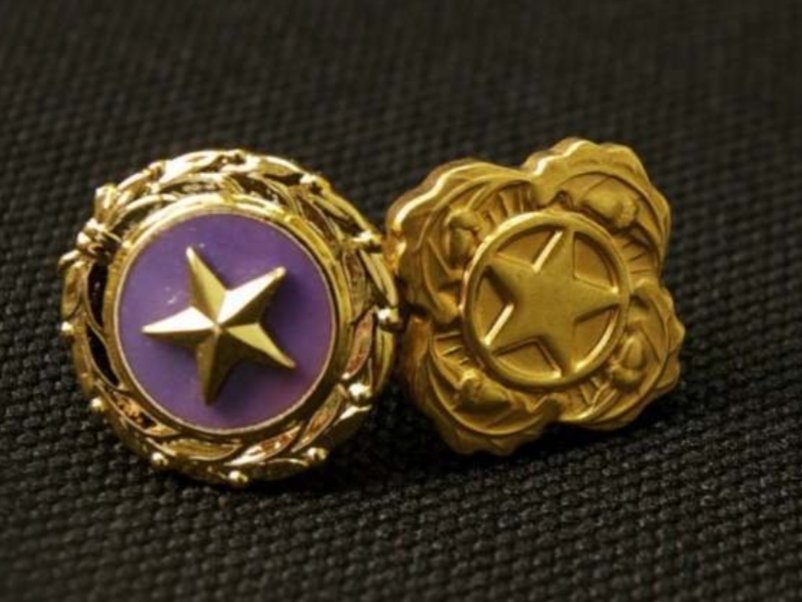 Today, we honor #GoldStarSpouses. ⭐ Honor. Service. Sacrifice. #GoldStarSpousesDay militarybenefits.info/gold-star-spou…