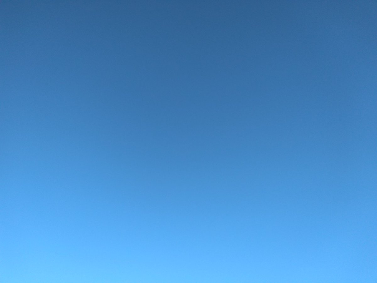 Colombe Brossel tweet media