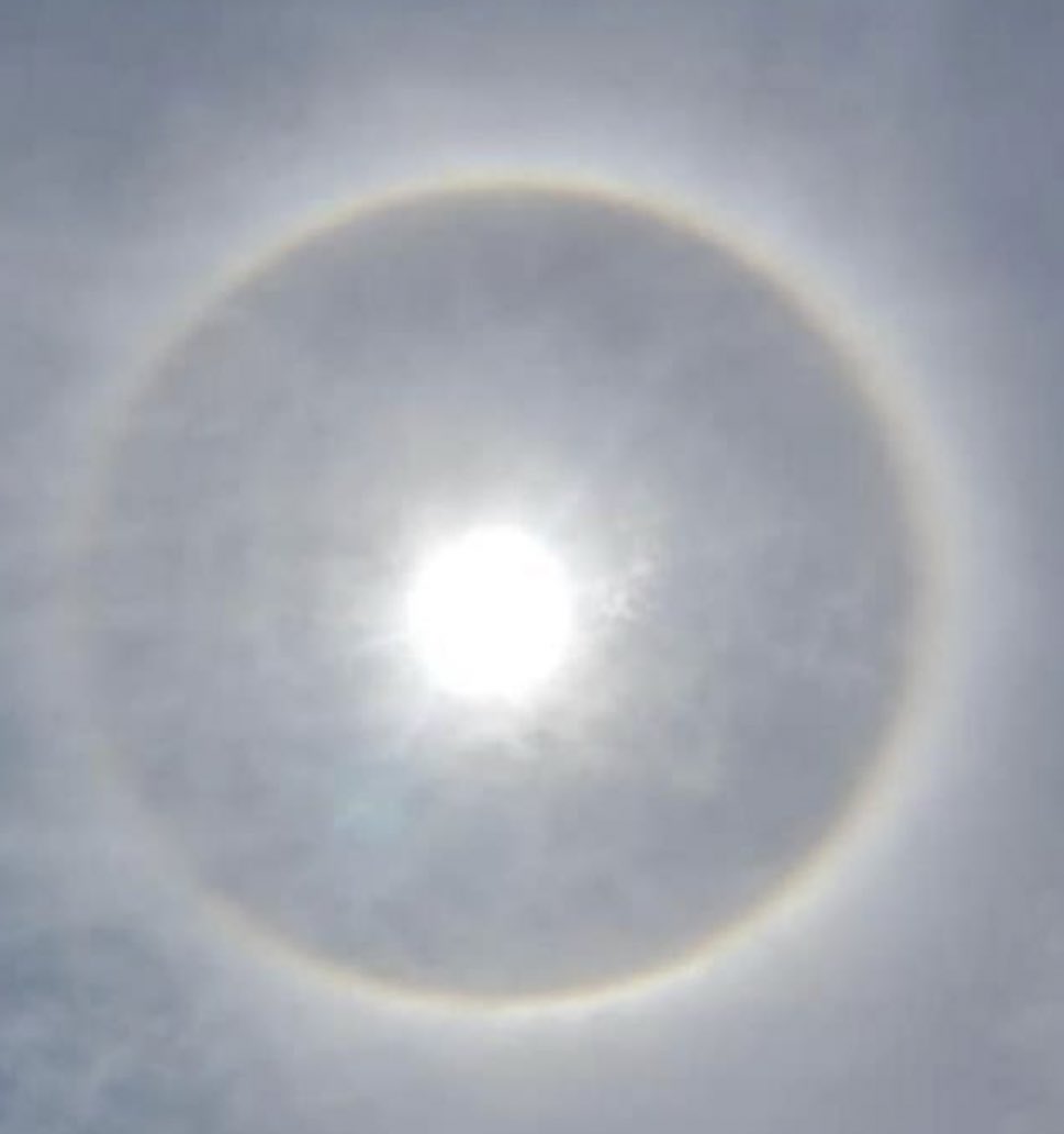 DrWilfredoBello's tweet photo. Halo Solar en Caracas.
De acuerdo al astrólogo Hindú Jayasreesaranathan , este evento metereológico tiene un significado. Si el halo aparece durante un par de horas o todo un día, la predicción habla de la muerte de un tirano o gobernante…
#DeQueVuelanVuelan https://t.co/SiL5oWvkpv