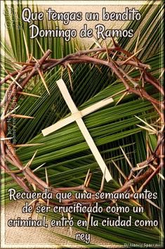 Maria0614R's tweet photo. Bendito el que viene en nombre del señor.... “Yo soy la Resurrección y la vida: El que cree en mi aun que este muerto vivirá” PALABRA DE DIOS! 🙏 https://t.co/3KdiJiVgKn
