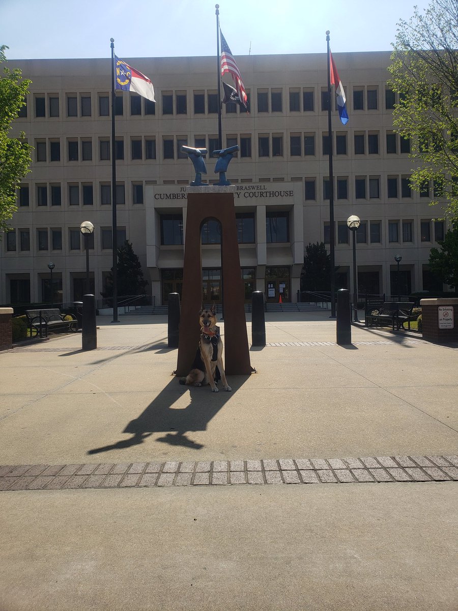 BudicSanda's tweet photo. My boy Aiko and I did #SocialDistancingNow Stopped and took few pics along the way..
@Sheriff_EWright @CityOfFayNC @FayettevillePD @CumberlandNC
#Fayetteville #NC #6feetapart #SundayMotivation #GermanShepherd #gsd #msYG
W https://t.co/Cw68kGOgOA
