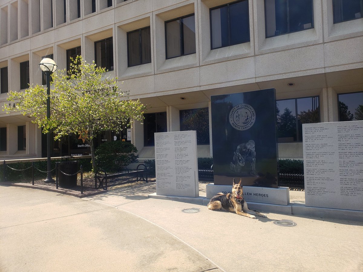 BudicSanda's tweet photo. My boy Aiko and I did #SocialDistancingNow Stopped and took few pics along the way..
@Sheriff_EWright @CityOfFayNC @FayettevillePD @CumberlandNC
#Fayetteville #NC #6feetapart #SundayMotivation #GermanShepherd #gsd #msYG
W https://t.co/Cw68kGOgOA