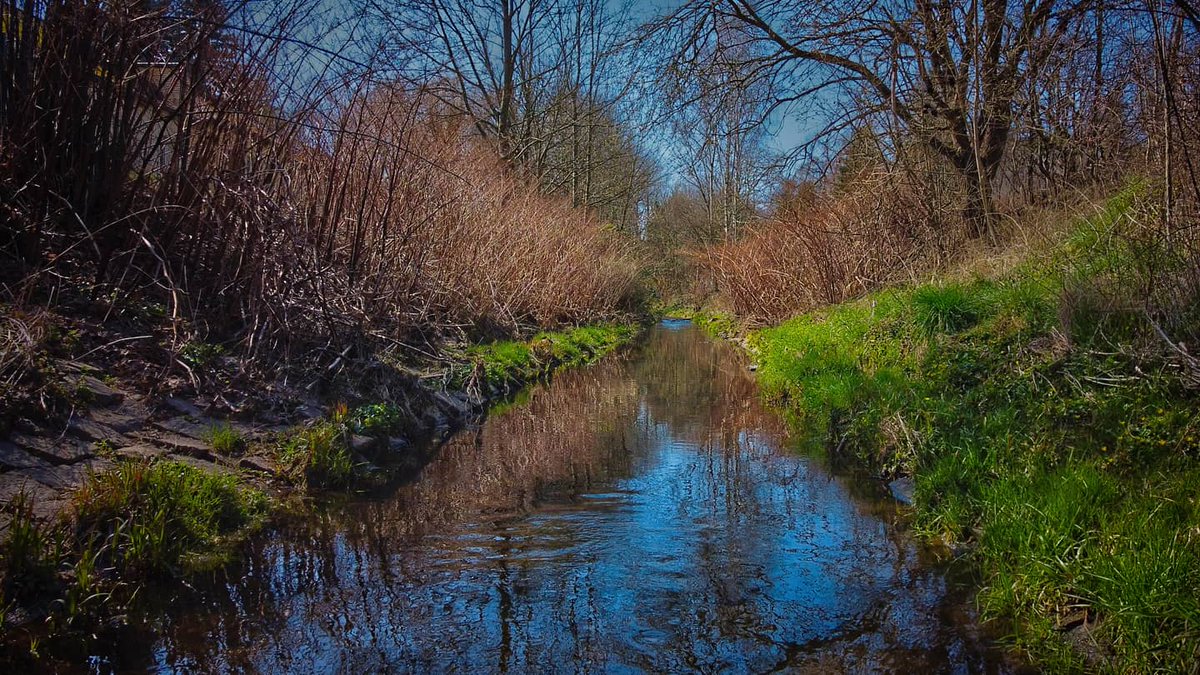 Schon ein kleiner Nervenkitzel wenn ein Windstoß deine Drohne zum U-Boot machen will.
.
.
.
.
.
.
.
.
.
.
.
.
#river #water #blue #nature #dji #mavic #mini #djimavicmini #light #colors #fotografie #photography #photo #photooftheday #pictures #mood #lightroom #dailyphotochallenge