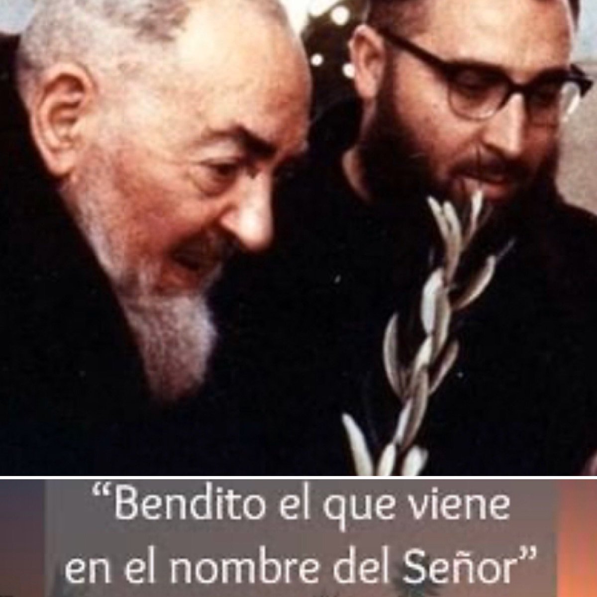sanpadrepio's tweet photo. Feliz domingo de Ramos ; Padre Pío bendice nuestros hogares . https://t.co/7aBFAD5Jf0