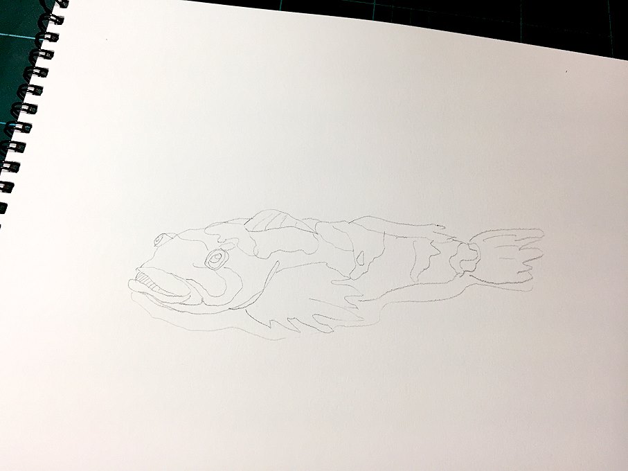 「琵琶湖のゴリを描きます。 #Watercolor #sketch #スケッチ #」|わへい水彩画@京都水彩画塾塾長のイラスト