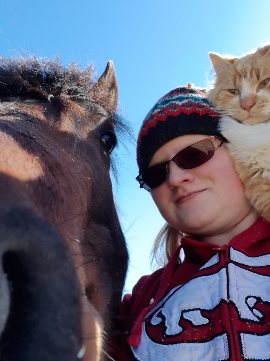 Ann28356568's tweet photo. Nothing quite like animals in the great outdoors to keep walks interesting https://t.co/IZmXHR7ZrG