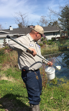 SYMVCD's tweet photo. We are still providing essential services such as mosquito surveillance, inspections and control during this challenging time. Request a free home service inspection or mosquitofish for your pond/fountain at https://t.co/u8nAt3jhc2 or by calling us at 1-800-429-1022. #SYMVCD https://t.co/oMxUvGITCX