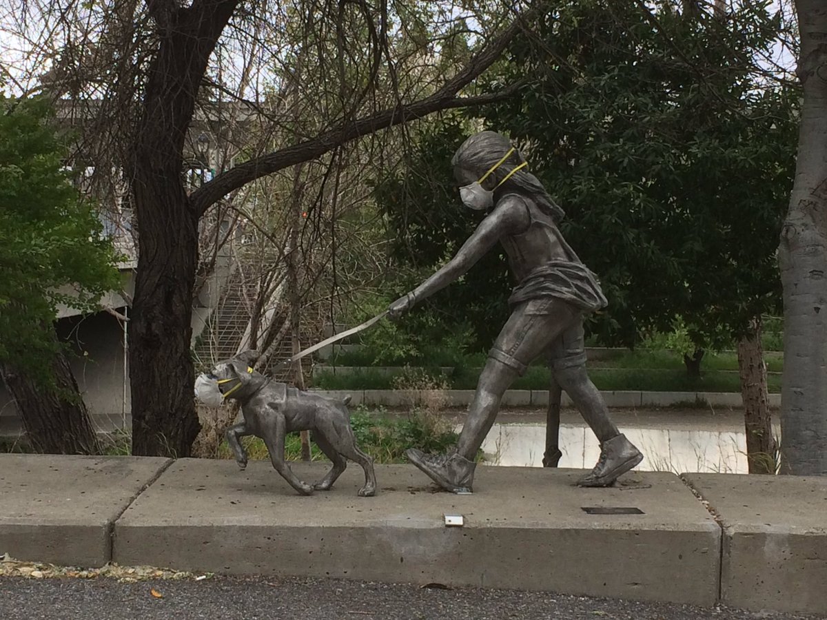 JohnTupper's tweet image. Trying to stay sane and move my body I am doing a daily #covidwalk. Please share your walk shots!! Here is mine.