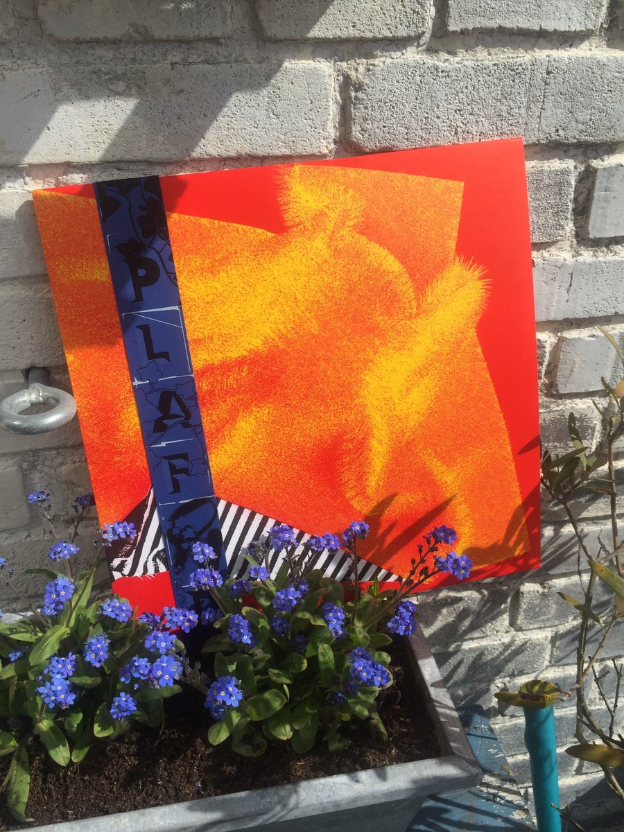 rewirefestival's tweet photo. Cucina Povera & Haron’s new @bakk_records LP is the perfect end to our three days of #Rewire2020 #ghostedition coverage. Thanks to The Social Lover for dropping us a copy & love a few days ago!
https://t.co/lmFJASJLNU https://t.co/Ltl2h8BbGK