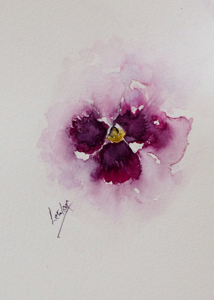#pansy #watercolour #demo go to this link to view  youtu.be/G696-9ZQs80  & enjoy !             #stcmill
