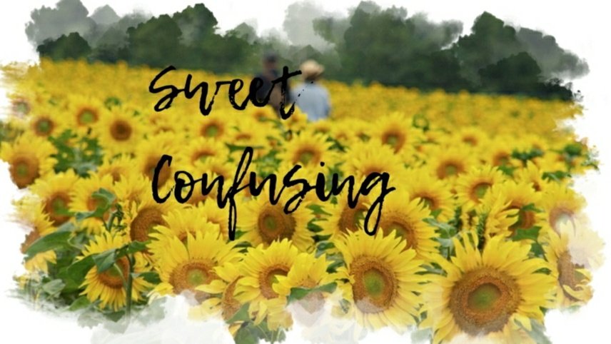 YessyListryani's tweet photo. Kisah manis A THREAD
Based on true story
SWEET CONFUSING
#bacathread #ceritacinta #threadromantis #bacaduluyuk https://t.co/NgG3pROYLP