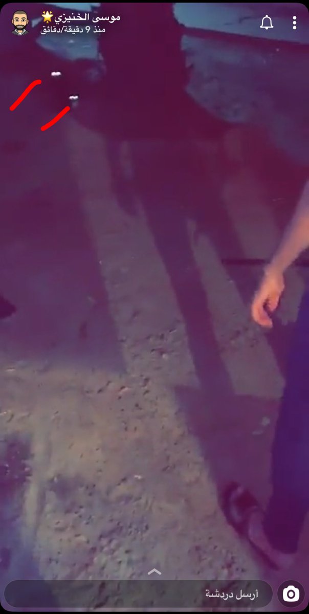 #موسى_الخنيزي ماشاء الله عليهم يتمشون والقطاوه جنبهم مولعه عيونها😭😭😭😭😭<a href="/x05048/">موسى الخنيزي</a> <a href="/mahdi__3li/">مهدي الخنيزي</a> <a href="/hamk4444/">حسين الخنيزي </a> 
بسم الله عليّ الرحمن الرحيم من الشيطان الرجيم طلعوها من بيتكم😖