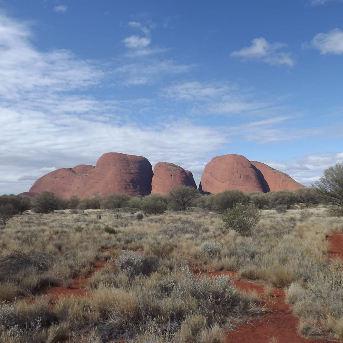 WanderPlusLust's tweet photo. Let's #quarantravel to the #RedCentre today.
This is a shot of #KataTjuṯa, another rock formation part of the same national park as Uluṟu.
The land is sacred to the Aboriginal people of Australia and the Aṉangu are the traditional owners. #WanderPlusLust #VirtualTravelling https://t.co/ZGiRgbPykU