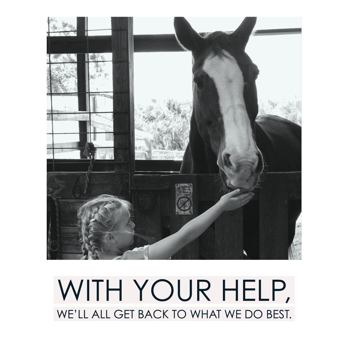 HARTforHORSES's tweet photo. Help HART as we plan for more #horses in need of help due to #COVID19.  If we reach our goal of $6000, then you will have provided feed and hay for 10 Thoroughbreds for 2 months! Please donate if you can and RT to share! We can do this together. https://t.co/HCz9uezQid https://t.co/F1US3pSTrO