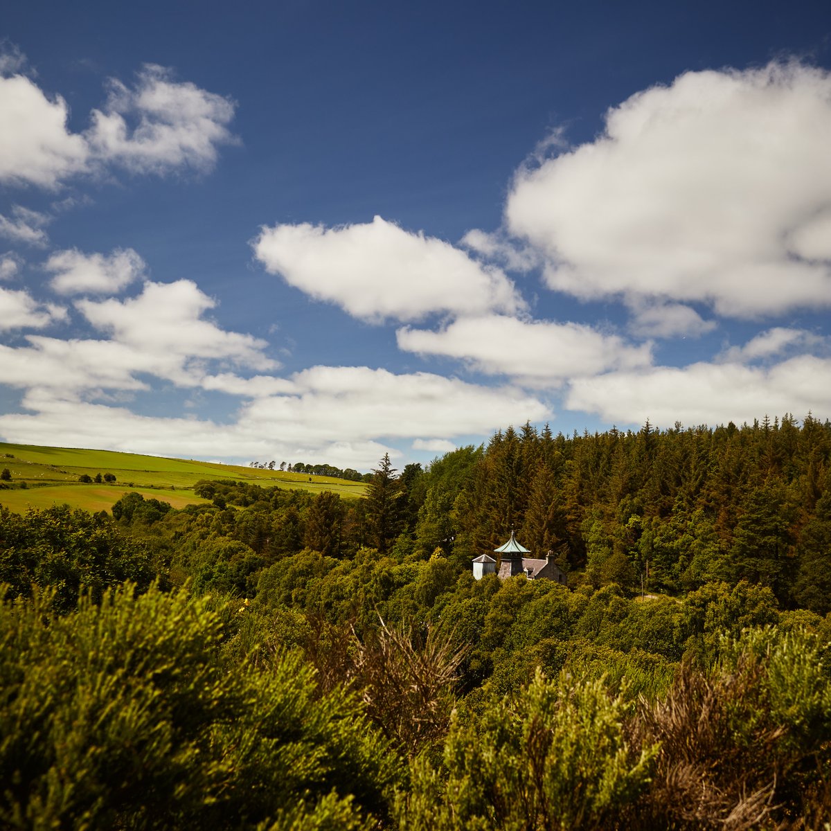 BacchusGroupCan's tweet photo. The exceptionally pure waters of the Granty Burn used in the distilling process are just one of the ways that @speyburnwhisky include a piece of Speyside in every Speyburn dram. Giving you an authentic taste of Scotland, no matter where you enjoy it.
#BCBartender #Vancouver https://t.co/KmHohzo3Dc